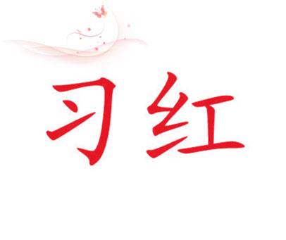 习红