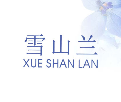 雪山兰