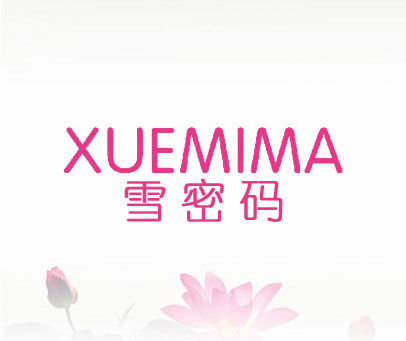 雪密码