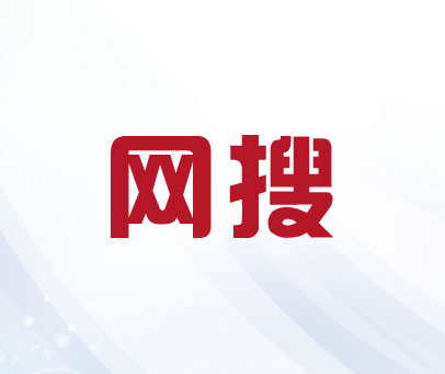 网搜