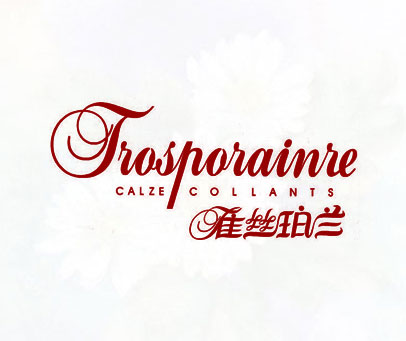 雀丝珀兰 TROSPORAINRE CALZE COLLANTS