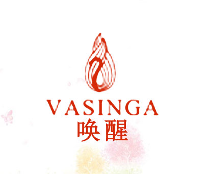 唤醒  VASINGA