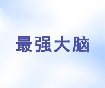 最强大脑