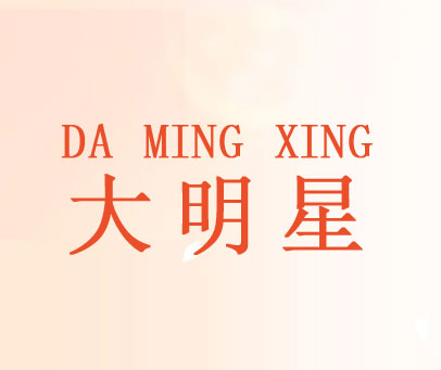 大明星