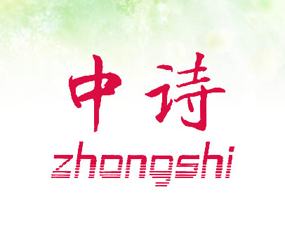 中诗