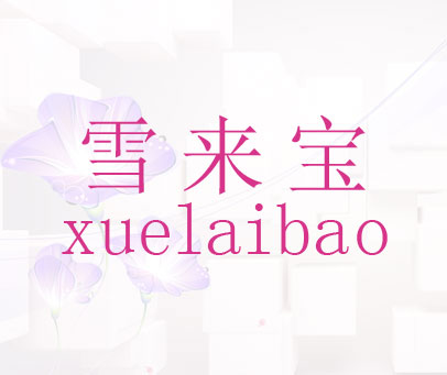 雪来宝