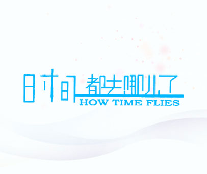 时间都去哪儿了 HOW TIME FLIES
