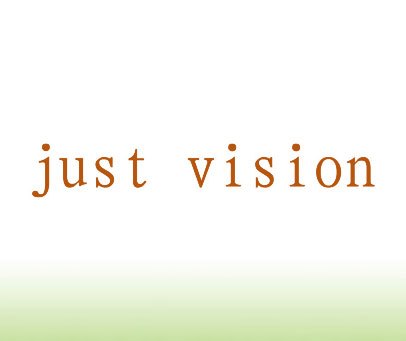 JUST VISION