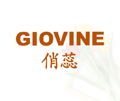 俏蕊 GIOVINE