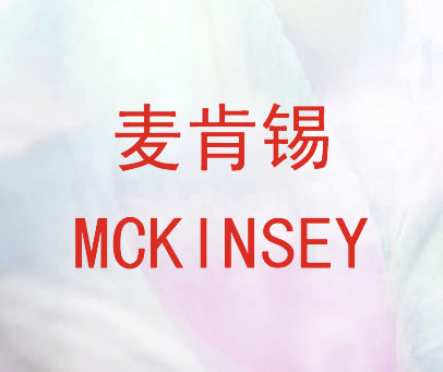 麦肯锡 MCKINSEY