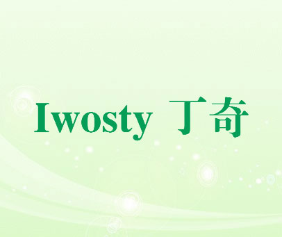 丁奇 IWOSTY
