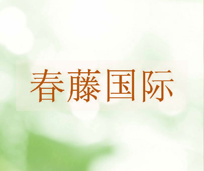 春藤国际