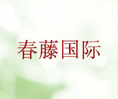 春藤国际