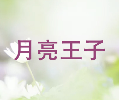 月亮王子