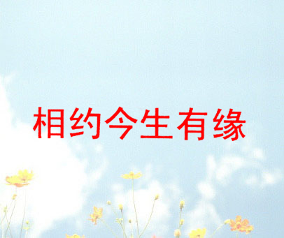 相约今生有缘