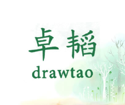 卓韬 DRAWTAO