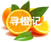 寻橙记
