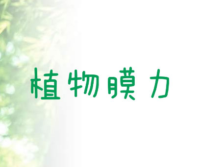 植物膜力