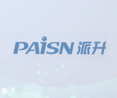 派升 PAISN