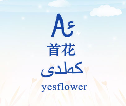 首花 YESFLOWER A