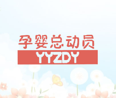 孕婴总动员  YYZDY