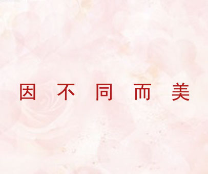 因不同而美