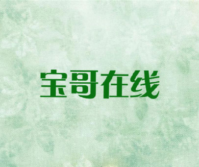 宝哥在线