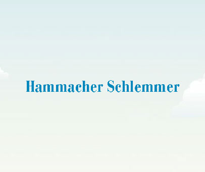 HAMMACHER SCHLEMMER