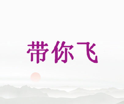 带你飞
