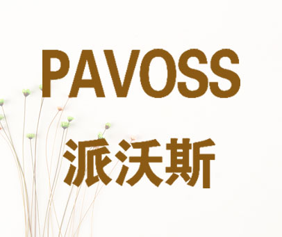 派沃斯 PAVOSS