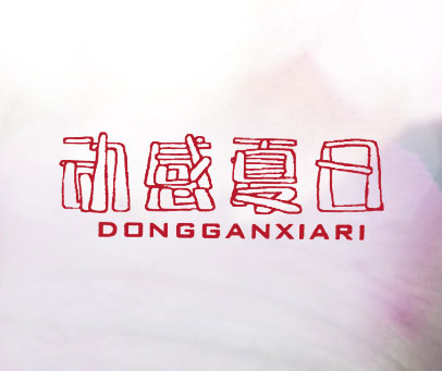 动感夏日;DONG GAN XIA RI