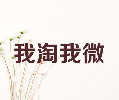 我淘我微