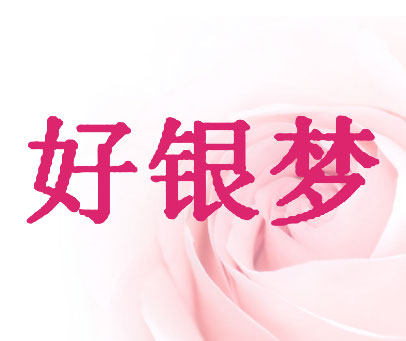 好银梦