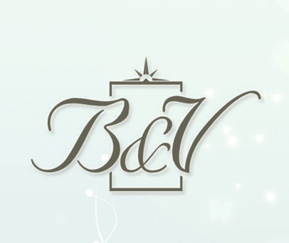 B&V