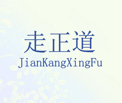 走正道 JIANKANGXINGFU