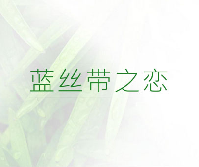 蓝丝带之恋