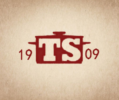 19 TS 09