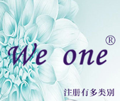 WE ONE