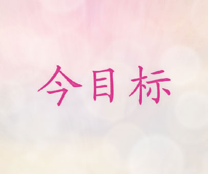 今目标