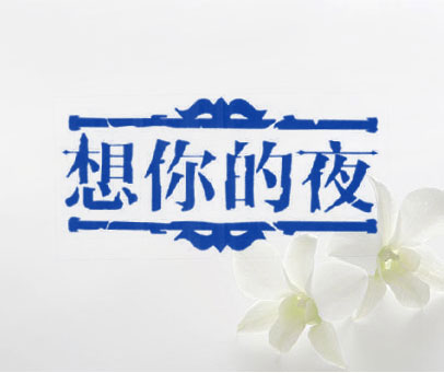 想你的夜