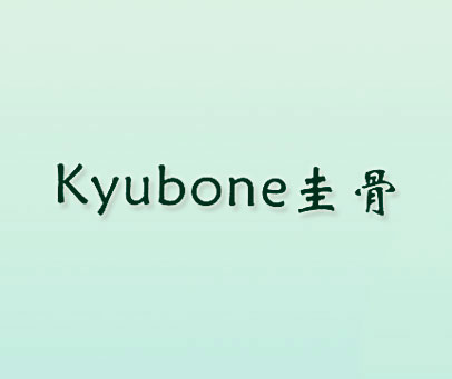 圭骨 KYUBONE