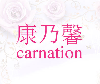 康乃馨 CARNATION