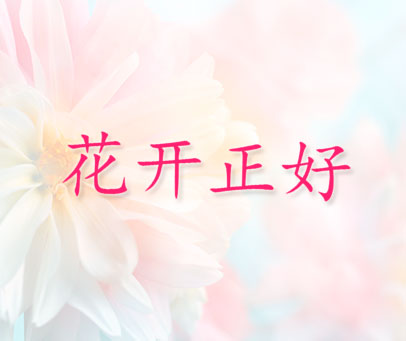 花开正好