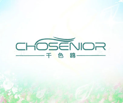千色鸥 CHOSENIOR