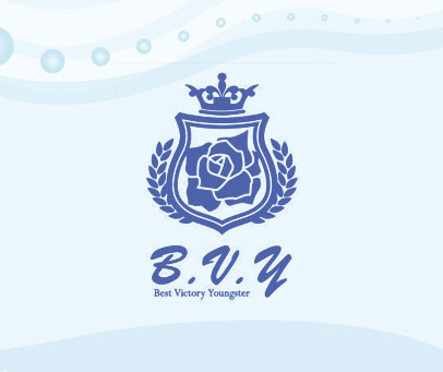 BEST VICTORY YOUNGSTER B.V.Y