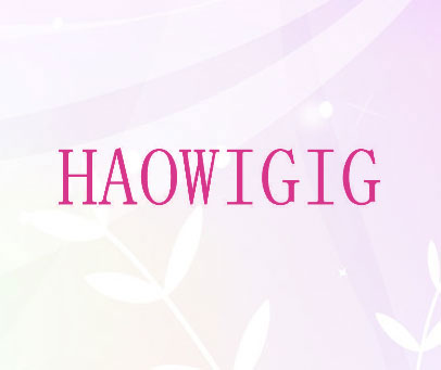 HAOWIGIG