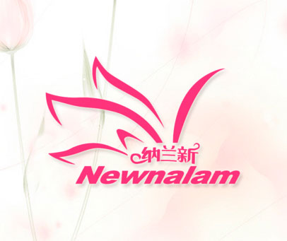 纳兰新 NEWNALAM