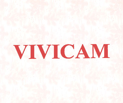 VIVICAM
