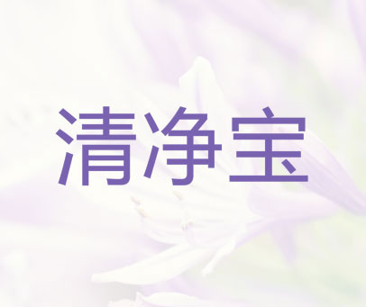 清净宝