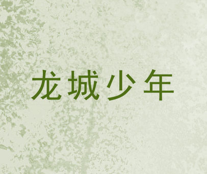 龙城少年